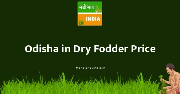 Dry Fodder भाव
